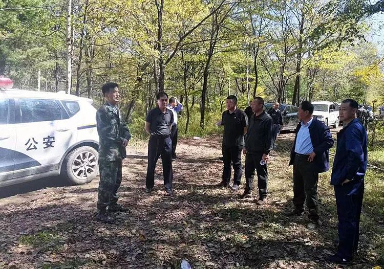 石砬山林场最新交通动态报道